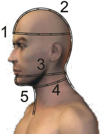 misure della testa per mute su misura